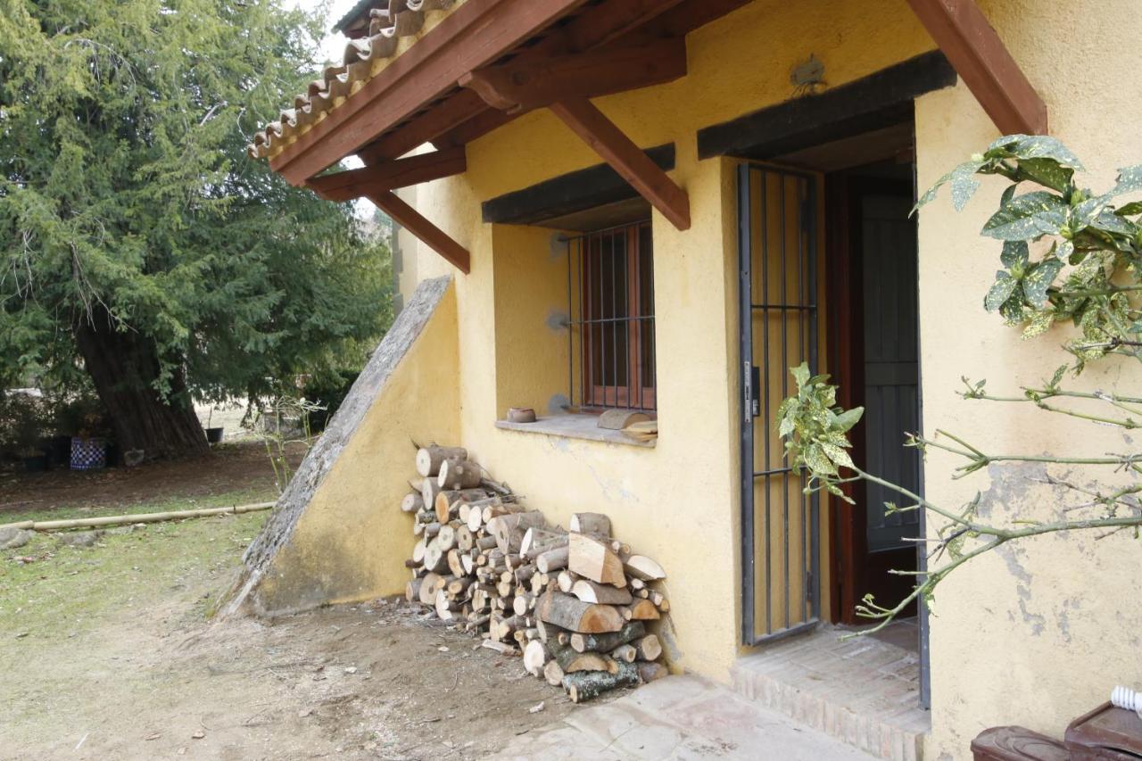Ca L'Herbolari - Cozy Newly Renovated House Ca L'Herbolari Viladrau Extérieur photo